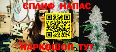 дживик Ярославль