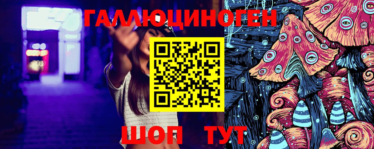 Галлюциногенные грибы MAGIC MUSHROOMS  Галлюциногенные грибы Cubensis  Александров  что такое   Вход с VPN 
